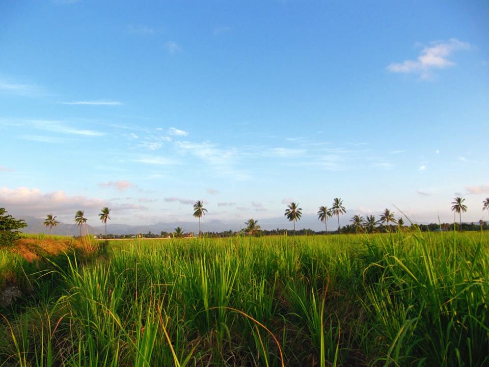 Future site of the Casa Esperanza of Angels facility.