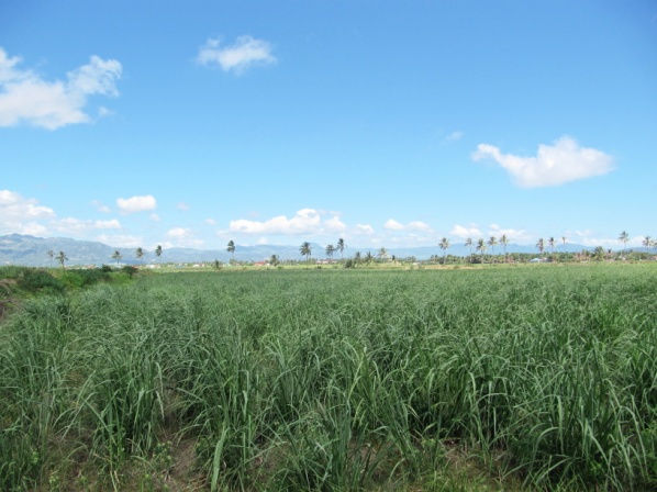 Casa Esperanza of Angels Land