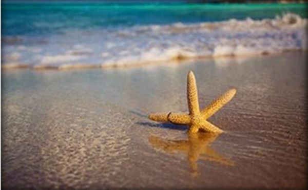 starfish story