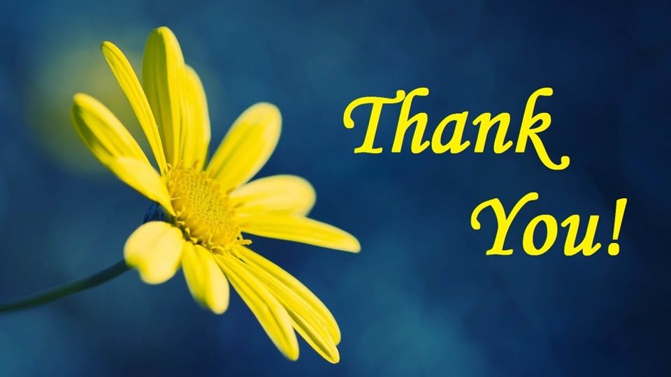 thank you image with flower